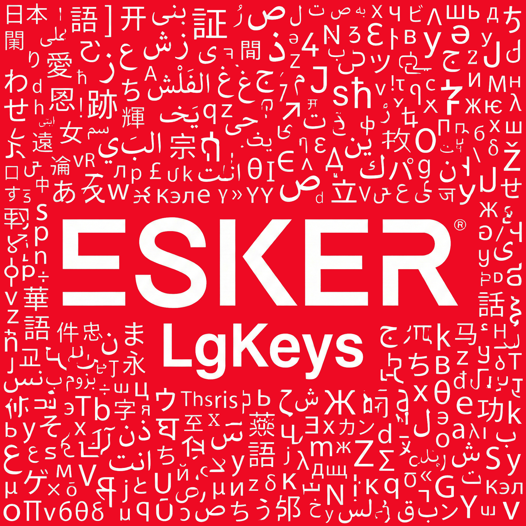 Esker LgKeys - Visual Studio Marketplace